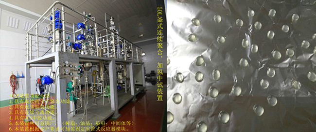 祝賀國內(nèi)首套釜式連續(xù)加氫中試成套裝置一次出料成功！.jpg